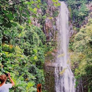 Meet your Posher, Arianna